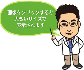 画像をクリックすると大きいサイズで表示されます